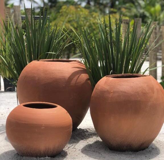 膳宿费 Vila Da Falésia