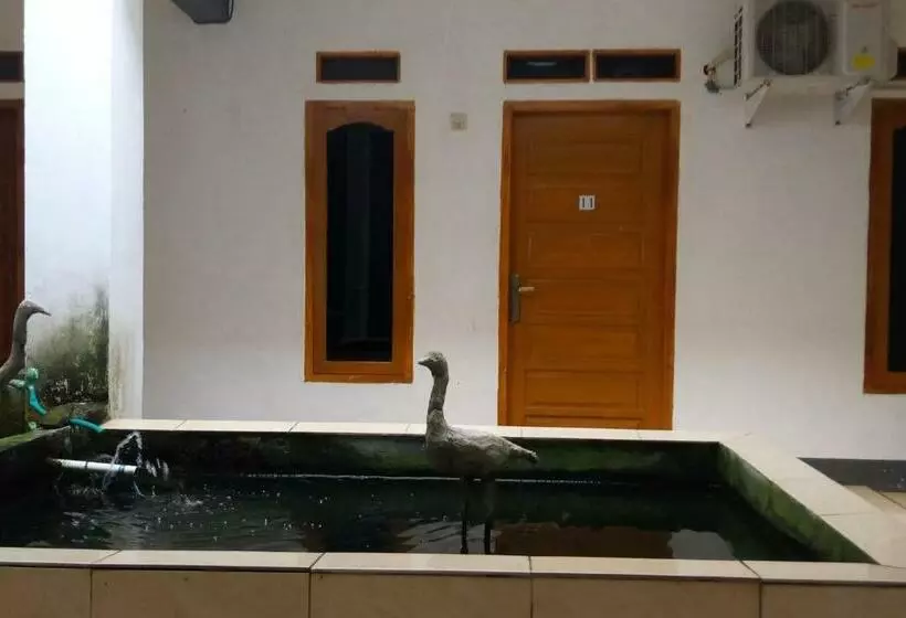 هتل Guest House Rofal