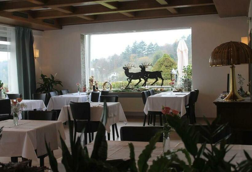 Hotelli Lingentaler Hof