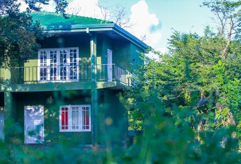 ホテル Pavona Lake