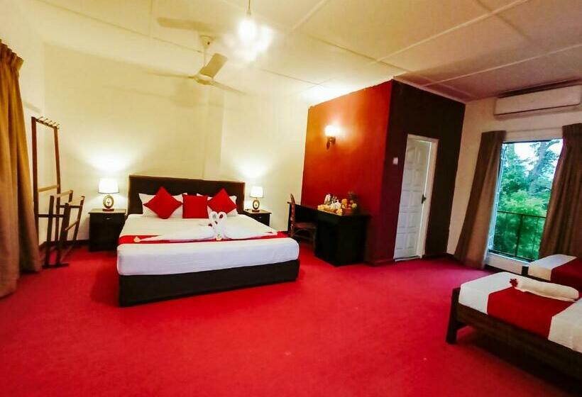 ホテル Pavona Lake