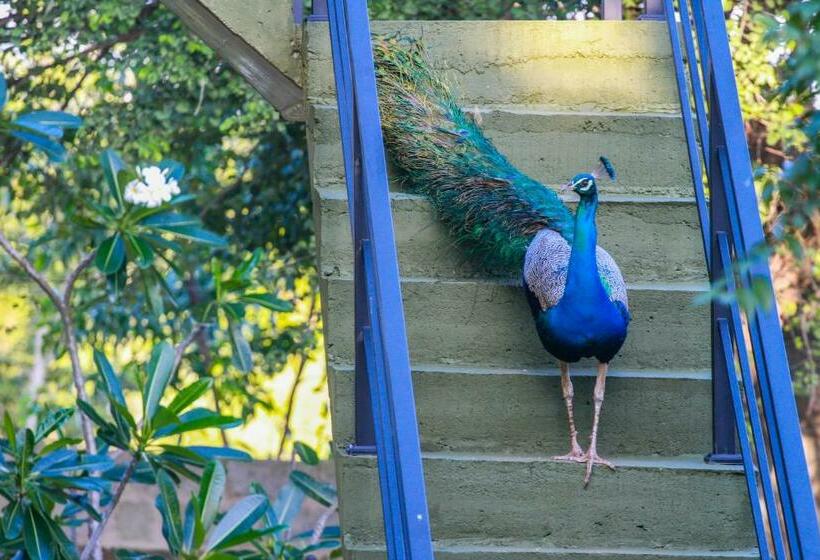 ホテル Pavona Lake