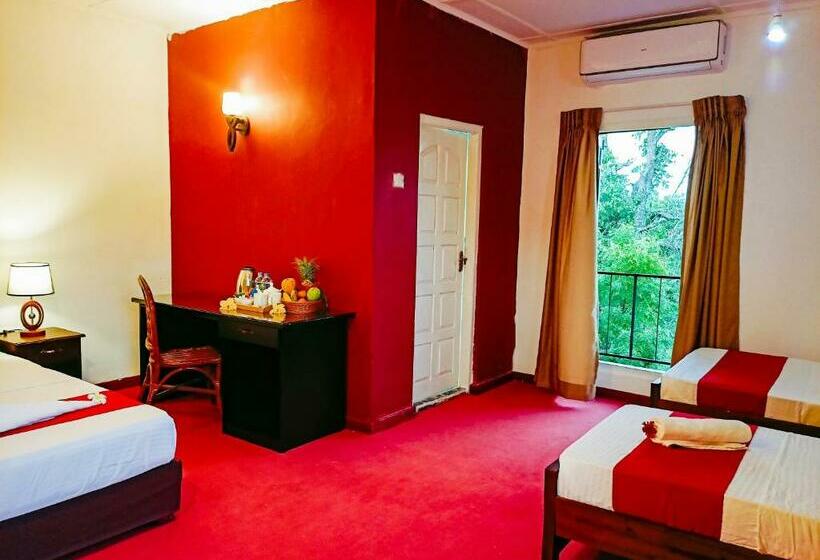 ホテル Pavona Lake