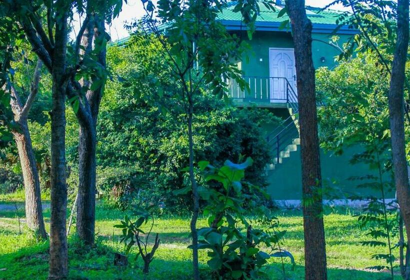 ホテル Pavona Lake