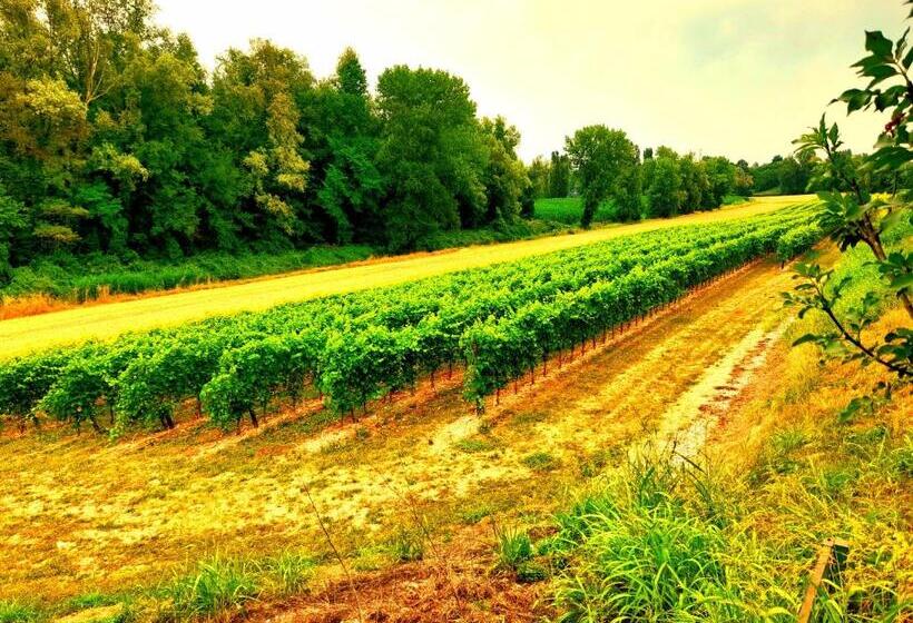 Пансион Zanina Country House