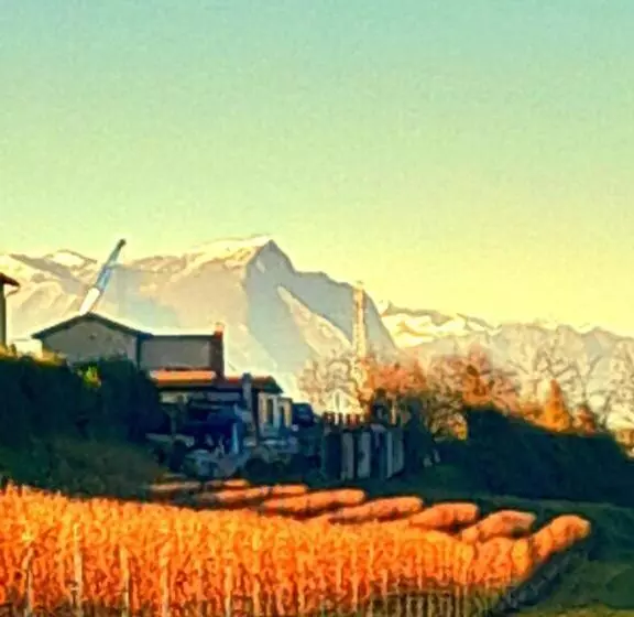 پانسیون Zanina Country House