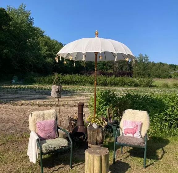 ベッドアンドブレックファースト Bboosterweg3 Studio   Free Private Parking