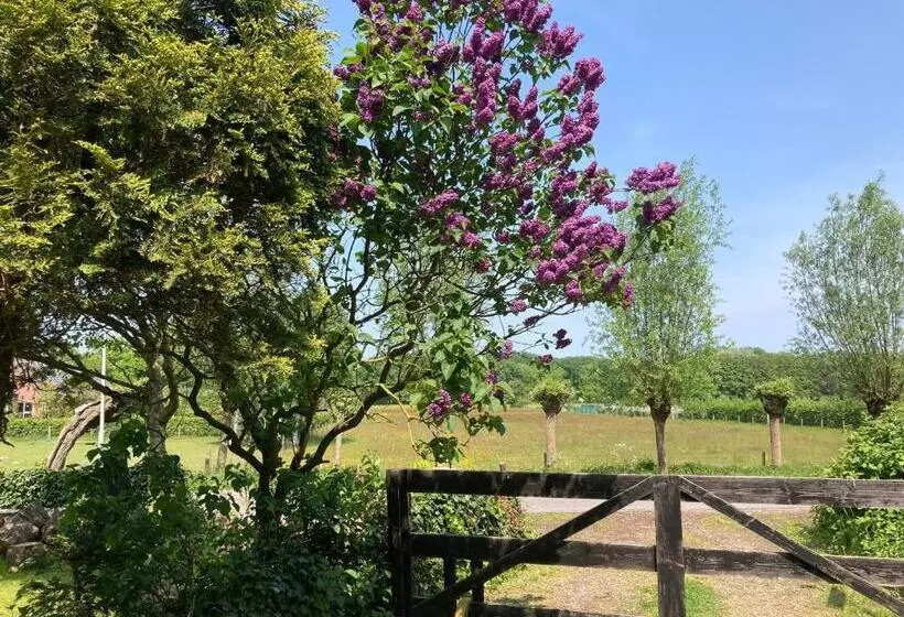 ベッドアンドブレックファースト Bboosterweg3 Studio   Free Private Parking