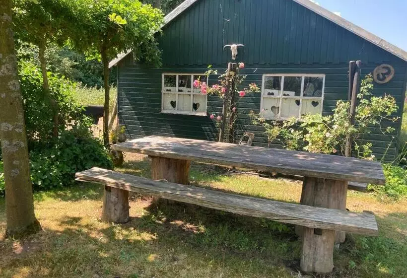 ベッドアンドブレックファースト Bboosterweg3 Studio   Free Private Parking