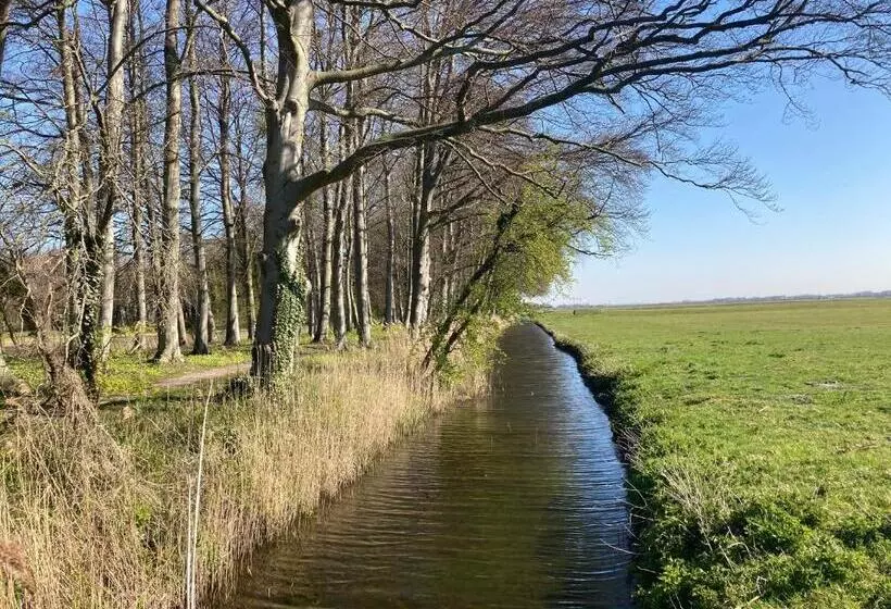 ベッドアンドブレックファースト Bboosterweg3 Studio   Free Private Parking