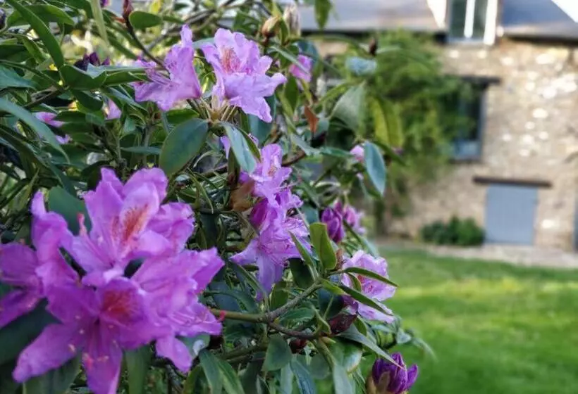 Aamiaismajoitus (B&B) Le Clos Des Noues