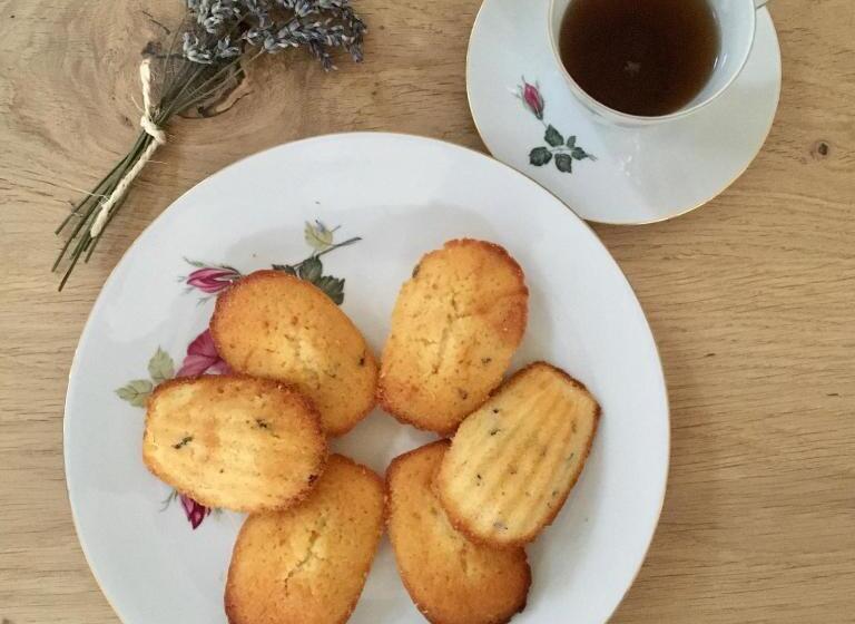 مبيت وإفطار Le Clos Des Noues