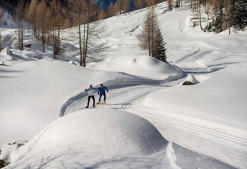 Schönberg Hotel B&b