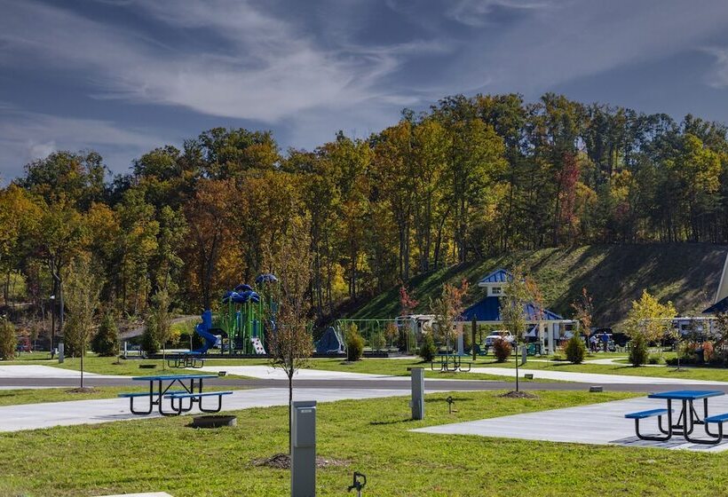 酒店 The Lodge At Camp Margaritaville