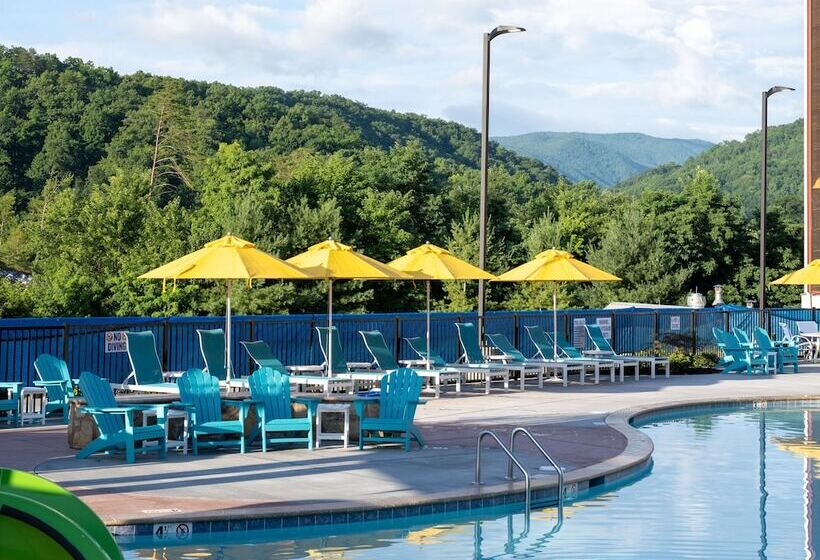 酒店 The Lodge At Camp Margaritaville