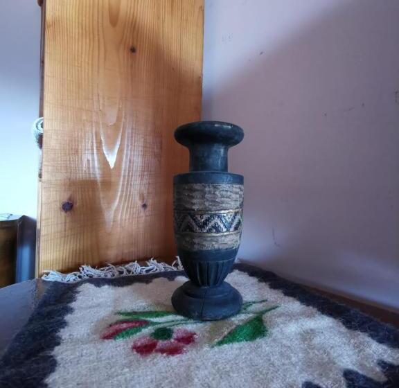 بنسيون Vila Zia