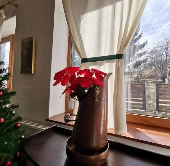 بنسيون Vila Zia