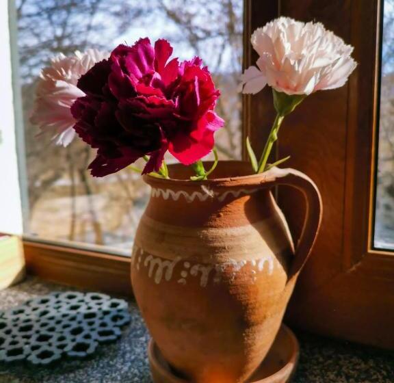 بنسيون Vila Zia