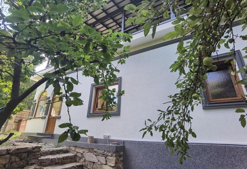 بنسيون Vila Zia