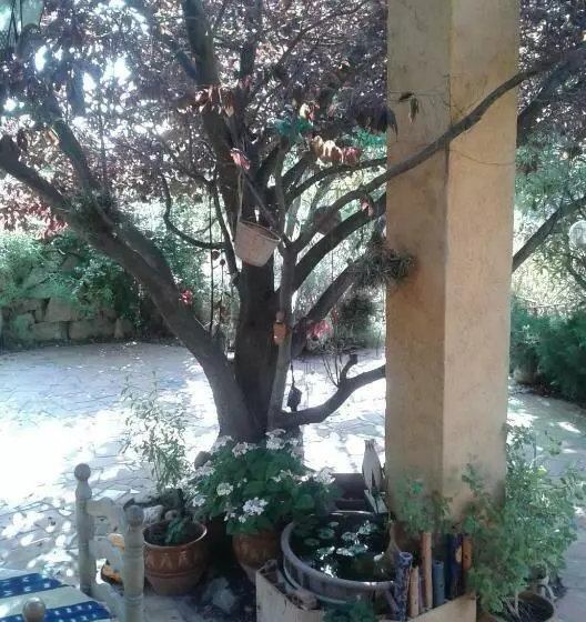 Bed and Breakfast Atelier Pasquer