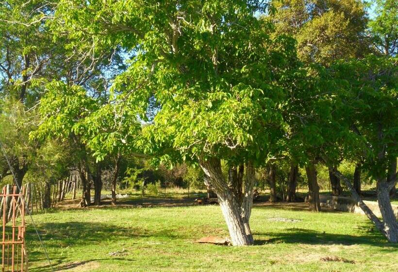 فندق Al Otro Lado Del Río
