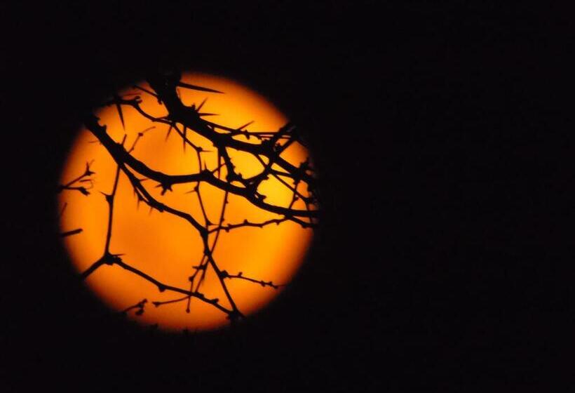 فندق Al Otro Lado Del Río