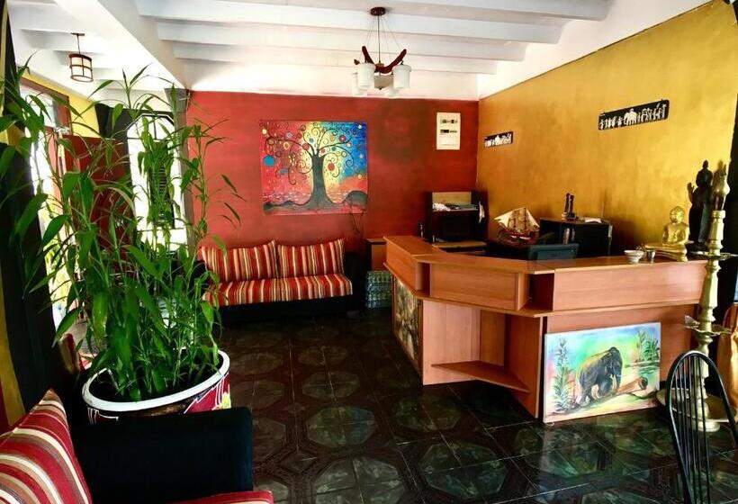 בית מלון כפרי Slightly Chilled