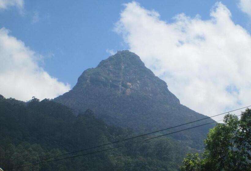 בית מלון כפרי Slightly Chilled