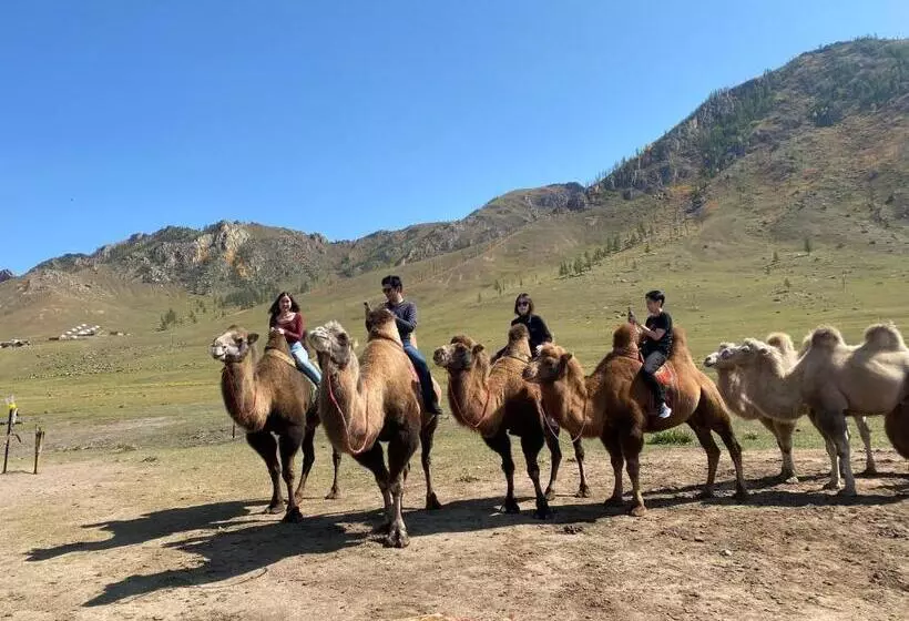 پانسیون Four Season