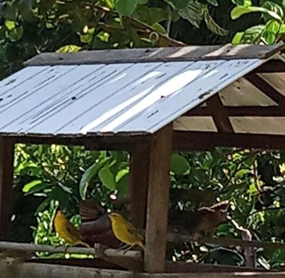 Pension Pousada Chácara Lumiar