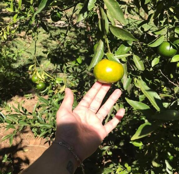 Pension Pousada Chácara Lumiar