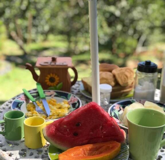 Pension Pousada Chácara Lumiar