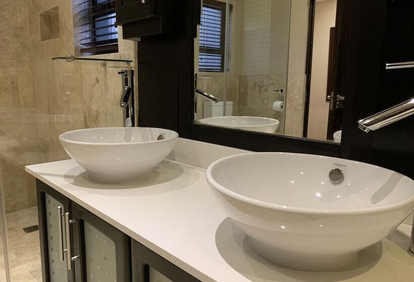 膳宿费 Swanepoel Guesthouse