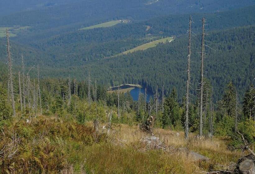 Pension Haus Waldesruh