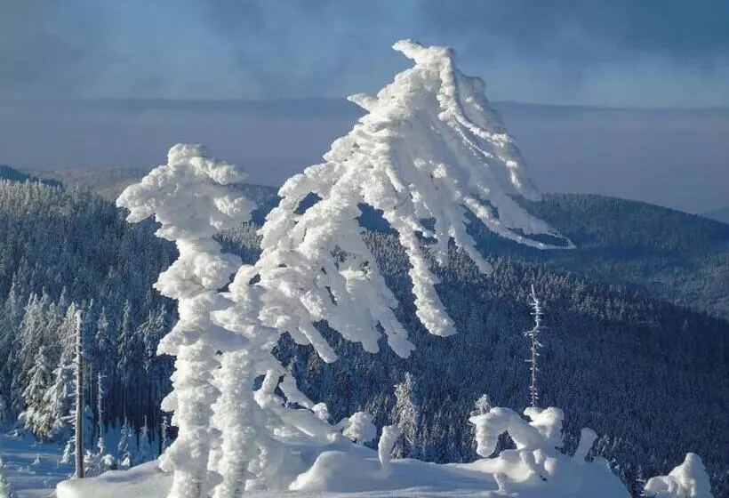 Pension Haus Waldesruh