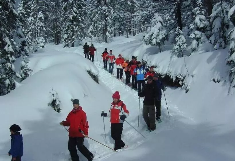 Pension Haus Waldesruh