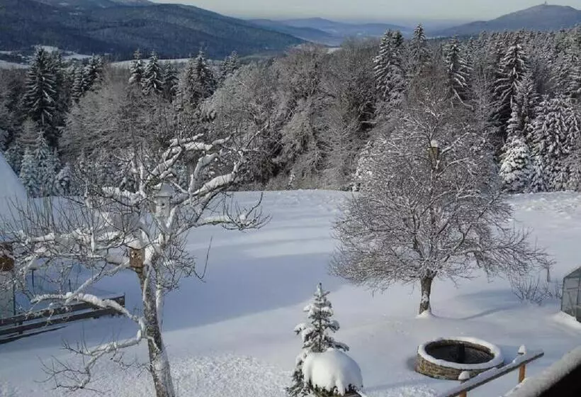 Pension Haus Waldesruh