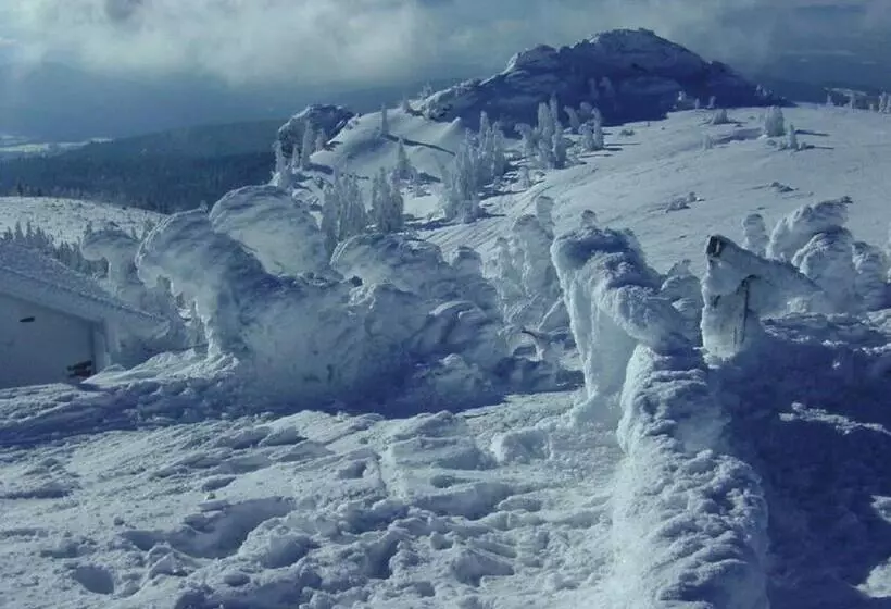 Pension Haus Waldesruh