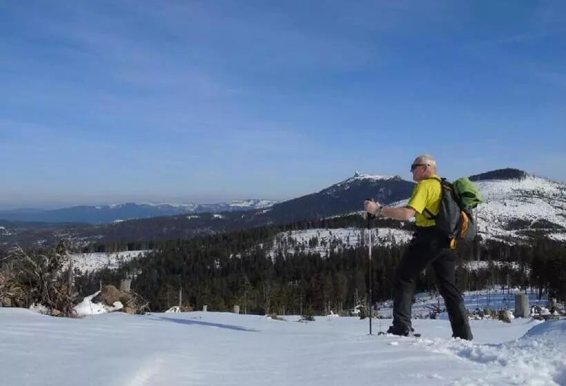 Pension Haus Waldesruh