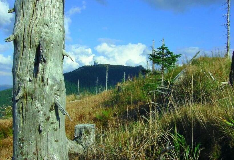 Pension Haus Waldesruh