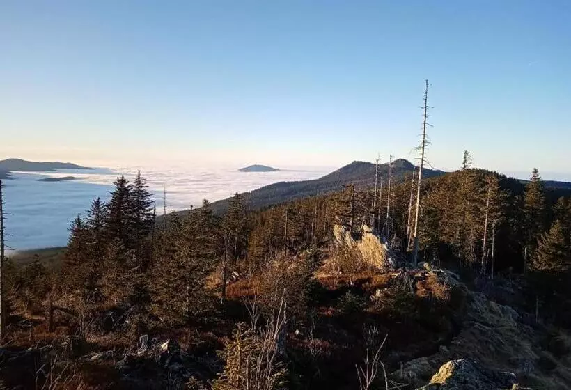 Pension Haus Waldesruh