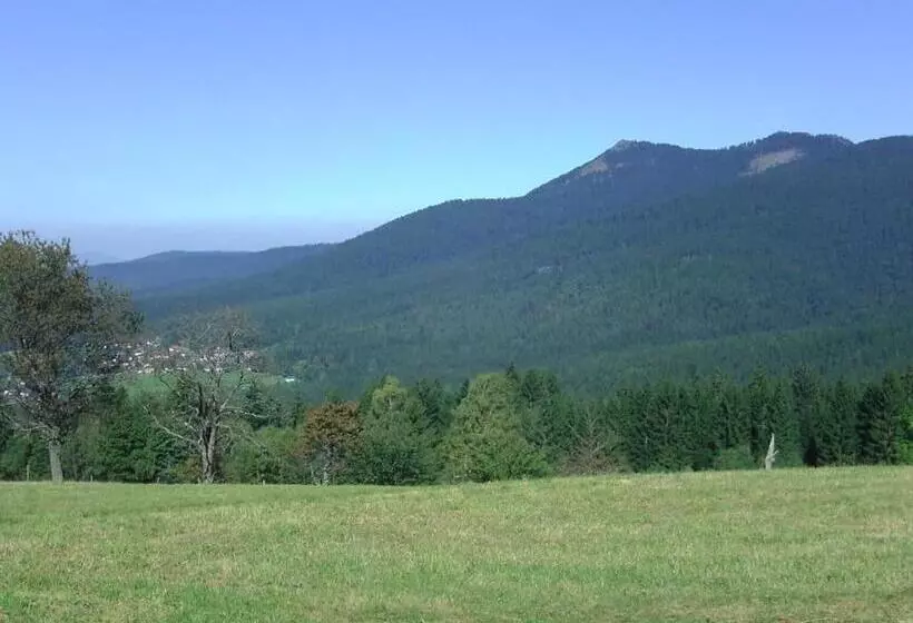 Pension Haus Waldesruh