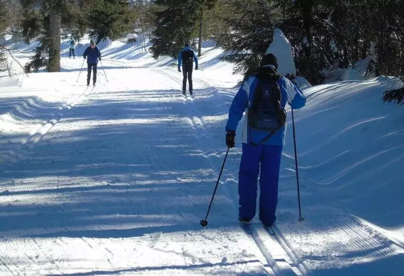 Pension Haus Waldesruh