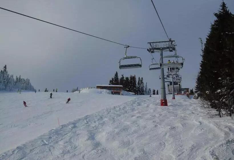 Pension Haus Waldesruh