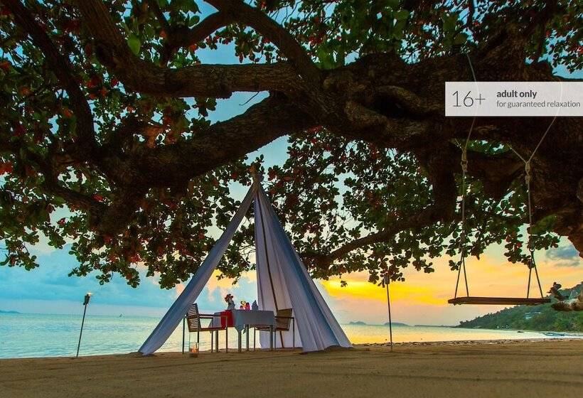 Explorar Koh Phangan Adults Only Resort And Spa