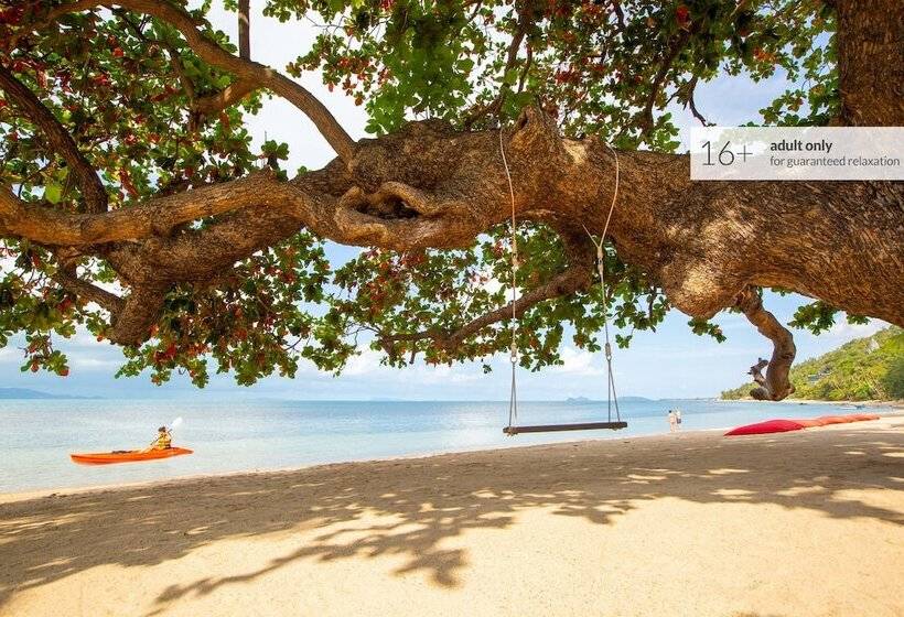 Explorar Koh Phangan Adults Only Resort And Spa