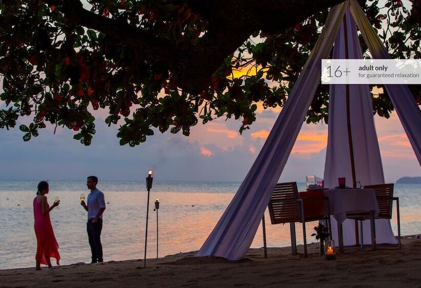 Explorar Koh Phangan Adults Only Resort And Spa