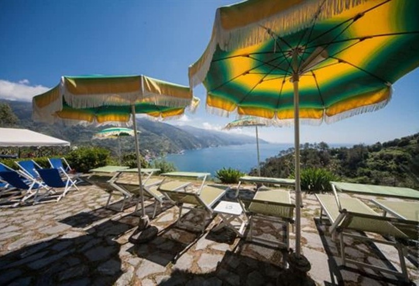 ホテル Albergo Suisse Bellevue