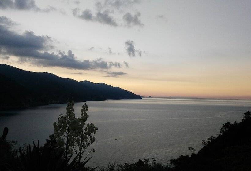 ホテル Albergo Suisse Bellevue