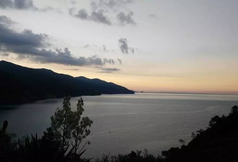 فندق Albergo Suisse Bellevue